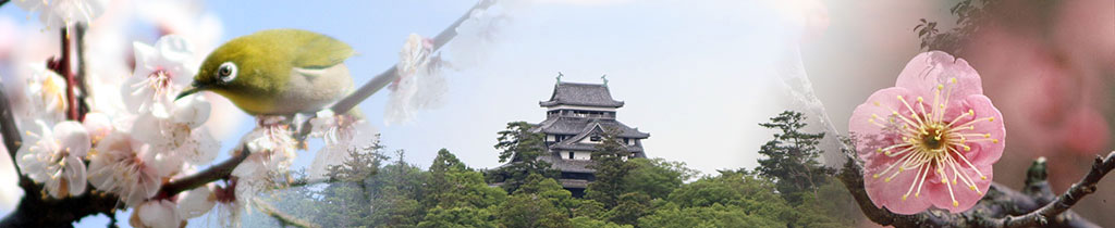 松江城・梅・うぐいす