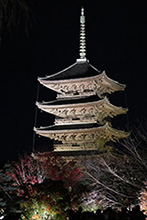 東寺夜景